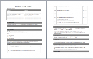 Labor Contract Template