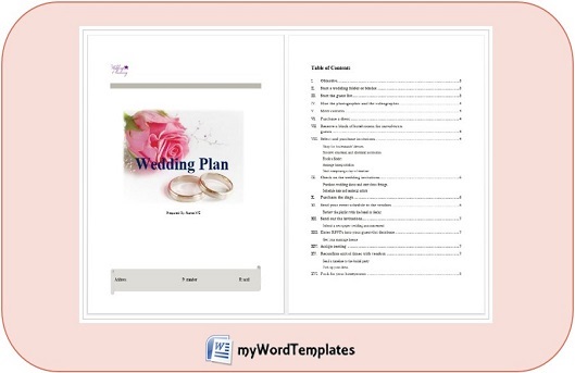 Wedding plan template feature image