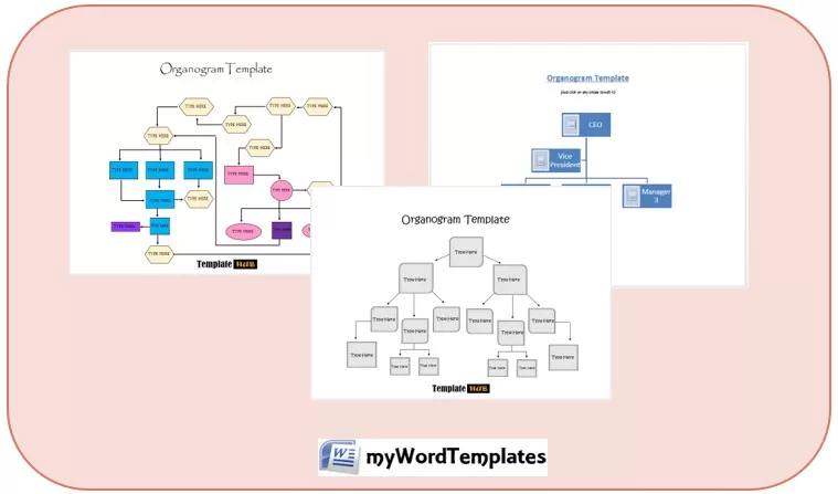 Organogram Templates
