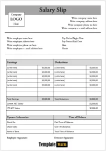 Salary Slip Template 5